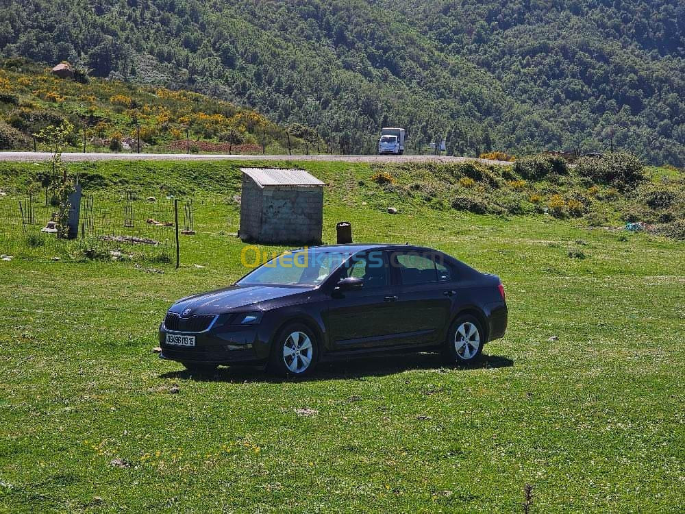 Skoda Octavia 2019 Ambiente