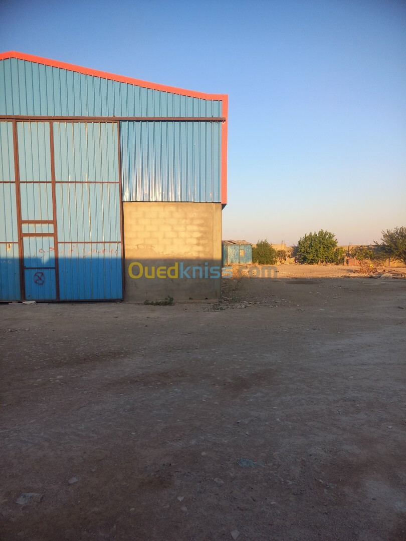 Location Hangar Sétif Ouled sabor