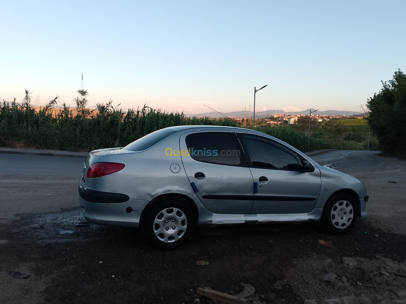 Peugeot 206 Sedan 2009 206 Sedan