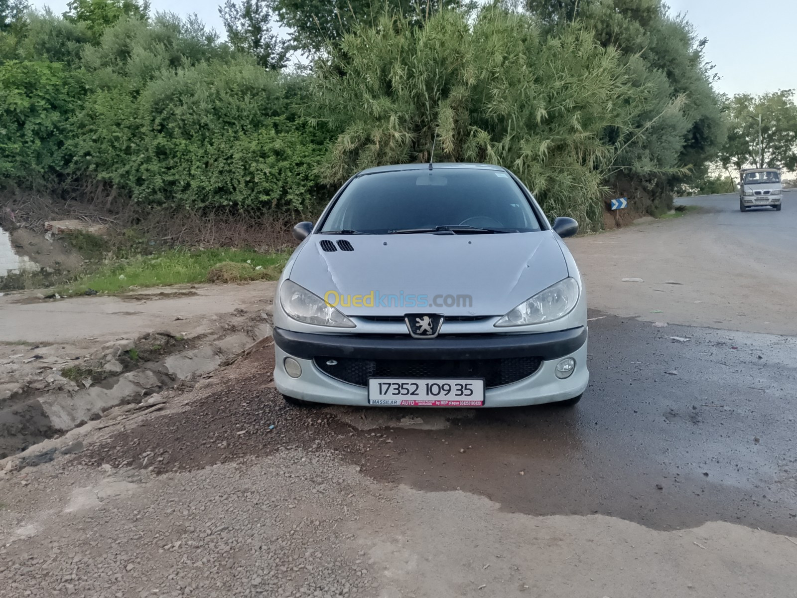 Peugeot 206 Sedan 2009 206 Sedan