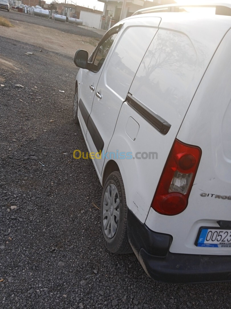 Citroen Berlingo 2009 B9