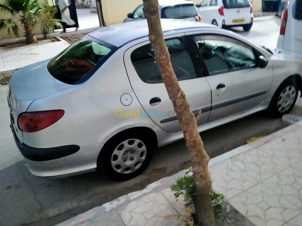 Peugeot 206 Sedan 2010 206 Sedan