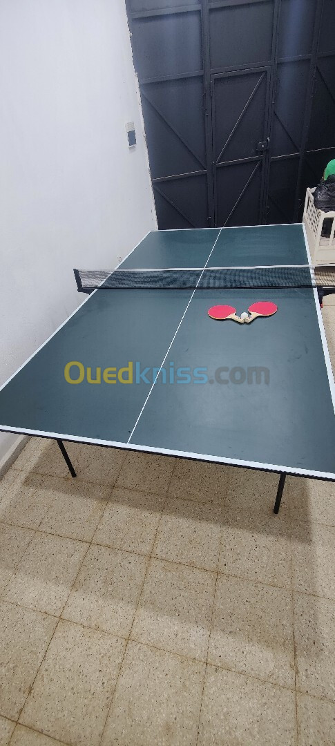 Table de ping pong professionnel 