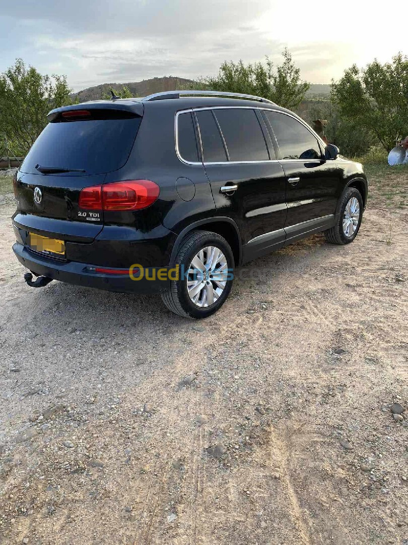 Volkswagen Tiguan 2013 Life