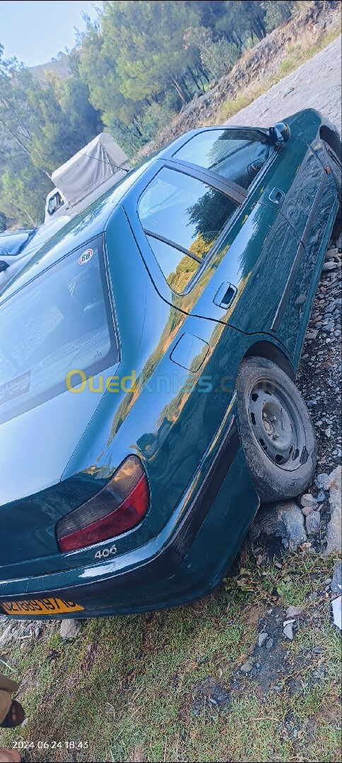 Peugeot 406 1997 406