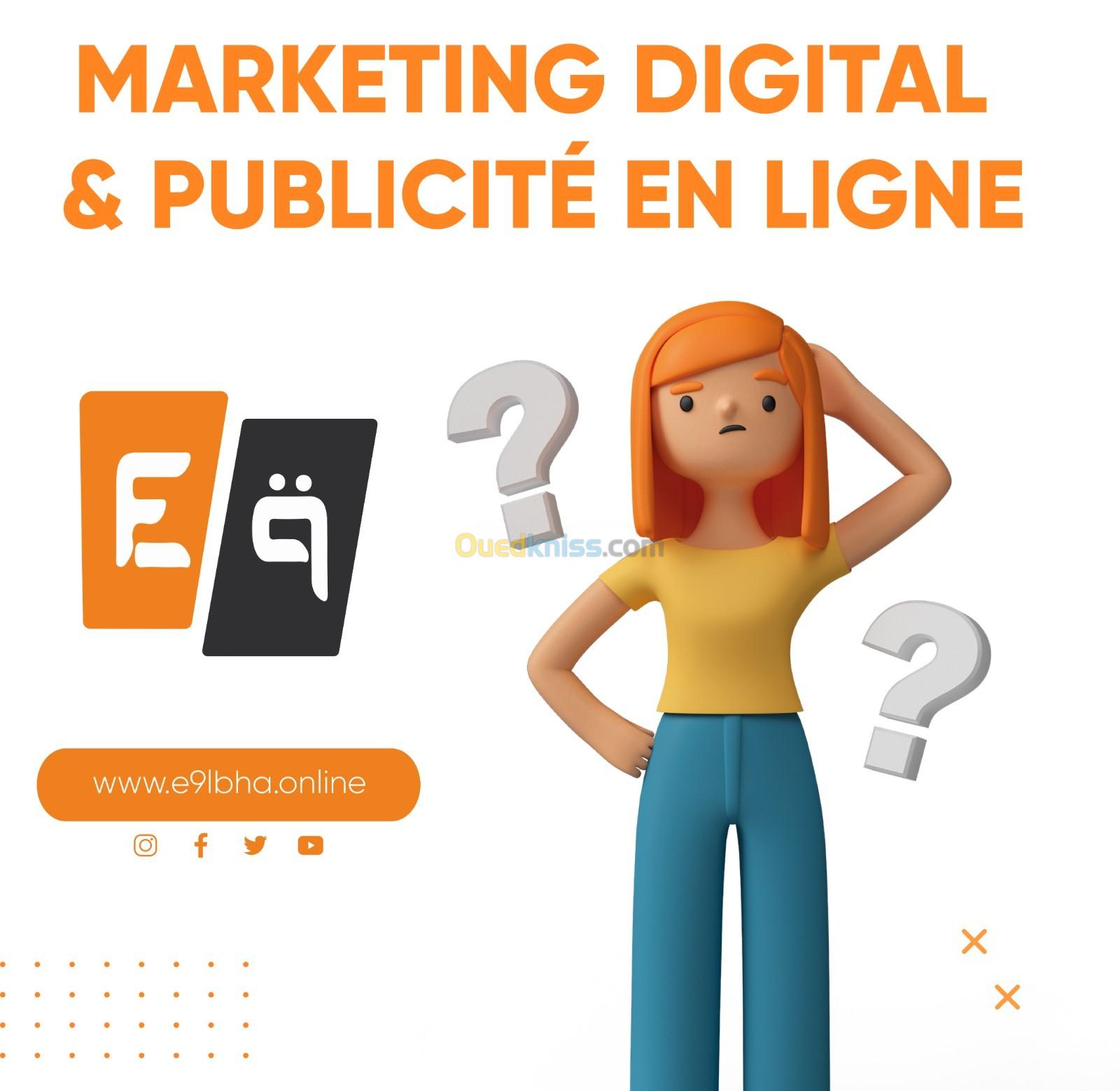 Marketing Digital & Publicité en Ligne