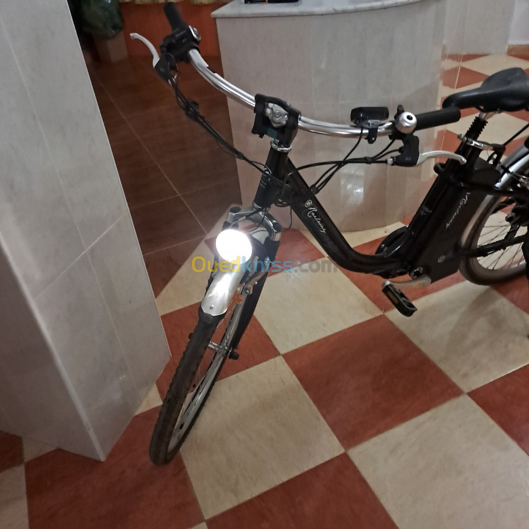 Vélo électrique 