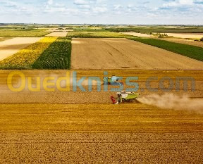 BUSINESS PLAN (Projet de mise en valeur de terre agricole .... ONTA)