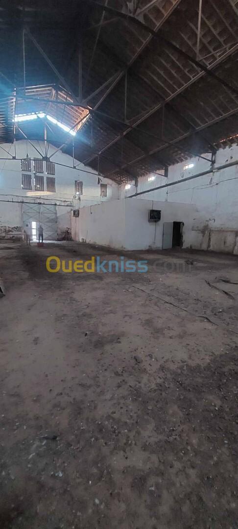 Vente Hangar Oran Hassi bounif