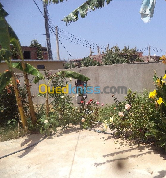 Location Bungalow Skikda Collo