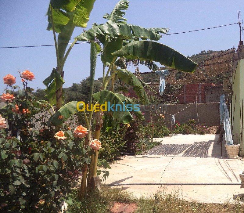 Location Bungalow Skikda Collo