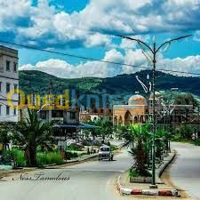 Vente Carcasse Skikda Tamalous