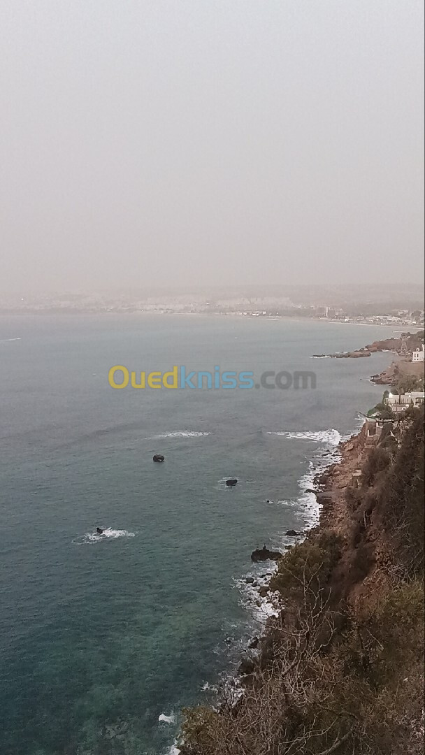 Vente Terrain Blida Ouled selama