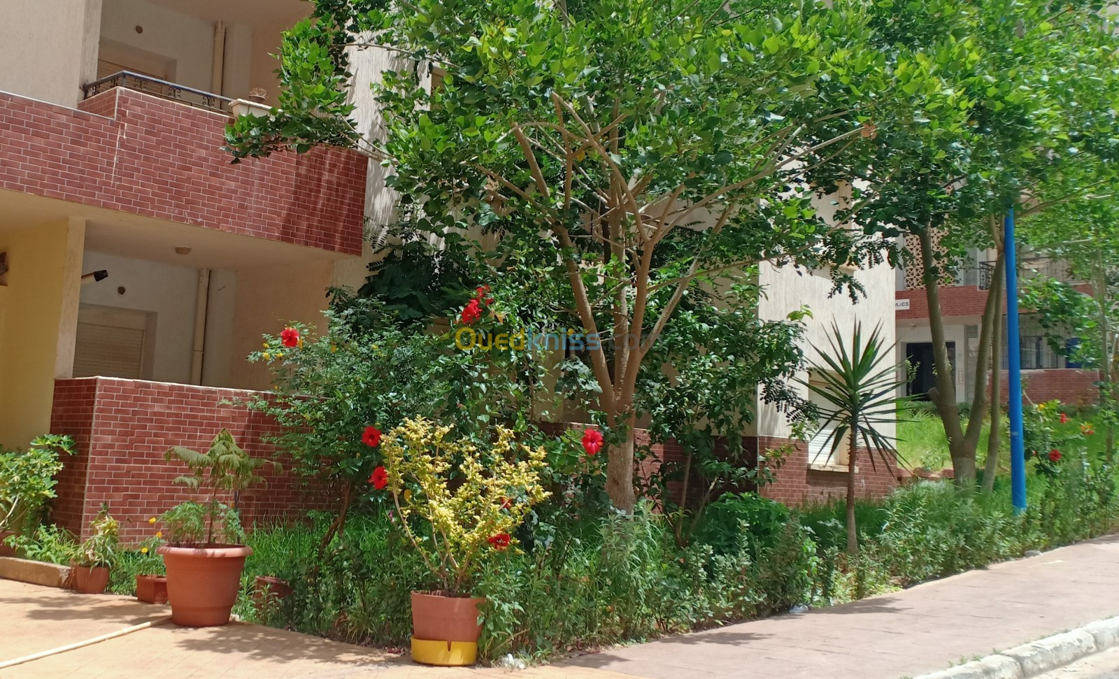 Vente Appartement F3 Tipaza Bou ismail