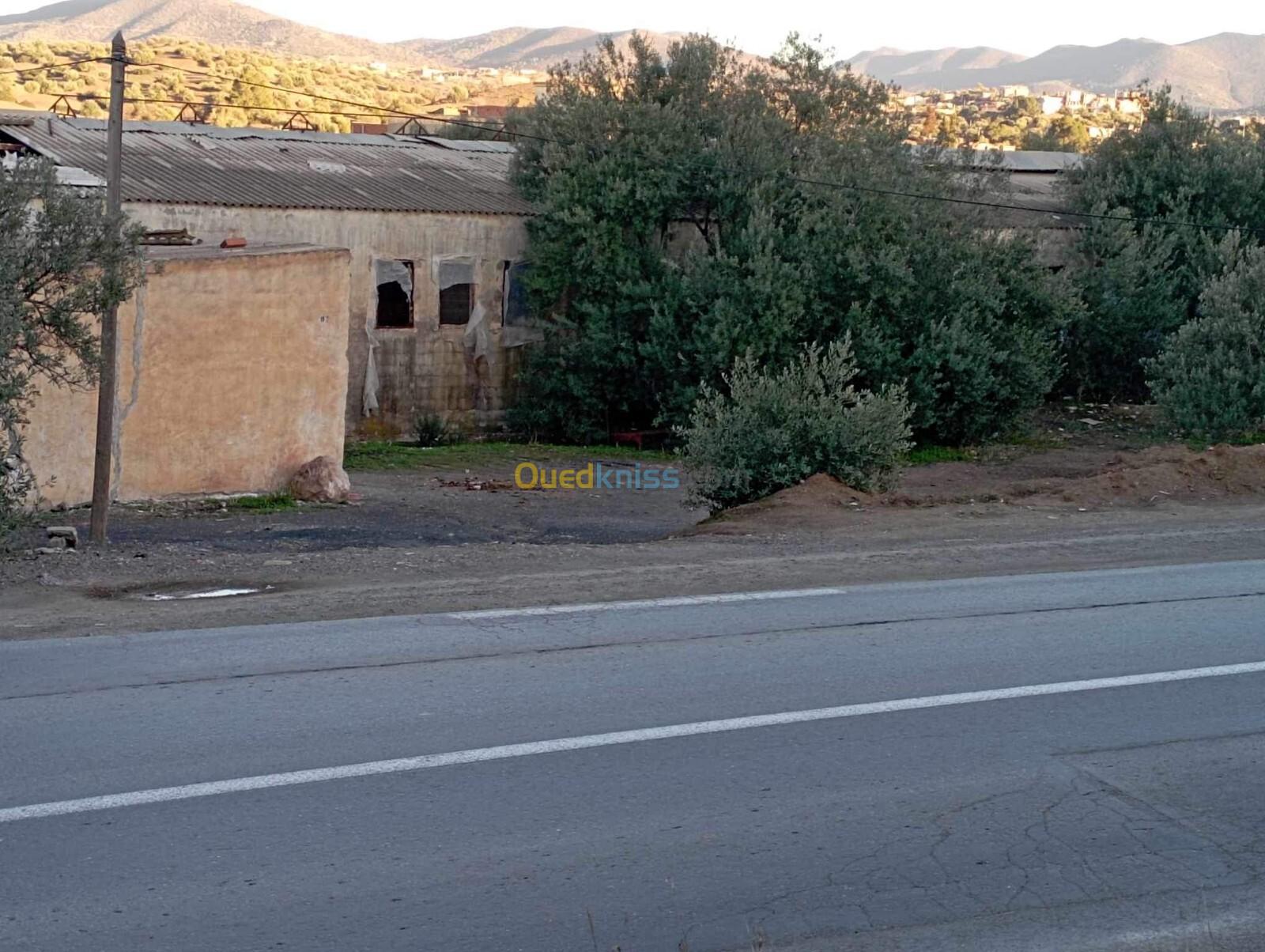 Location bien immobilier Bouira Ahl el ksar