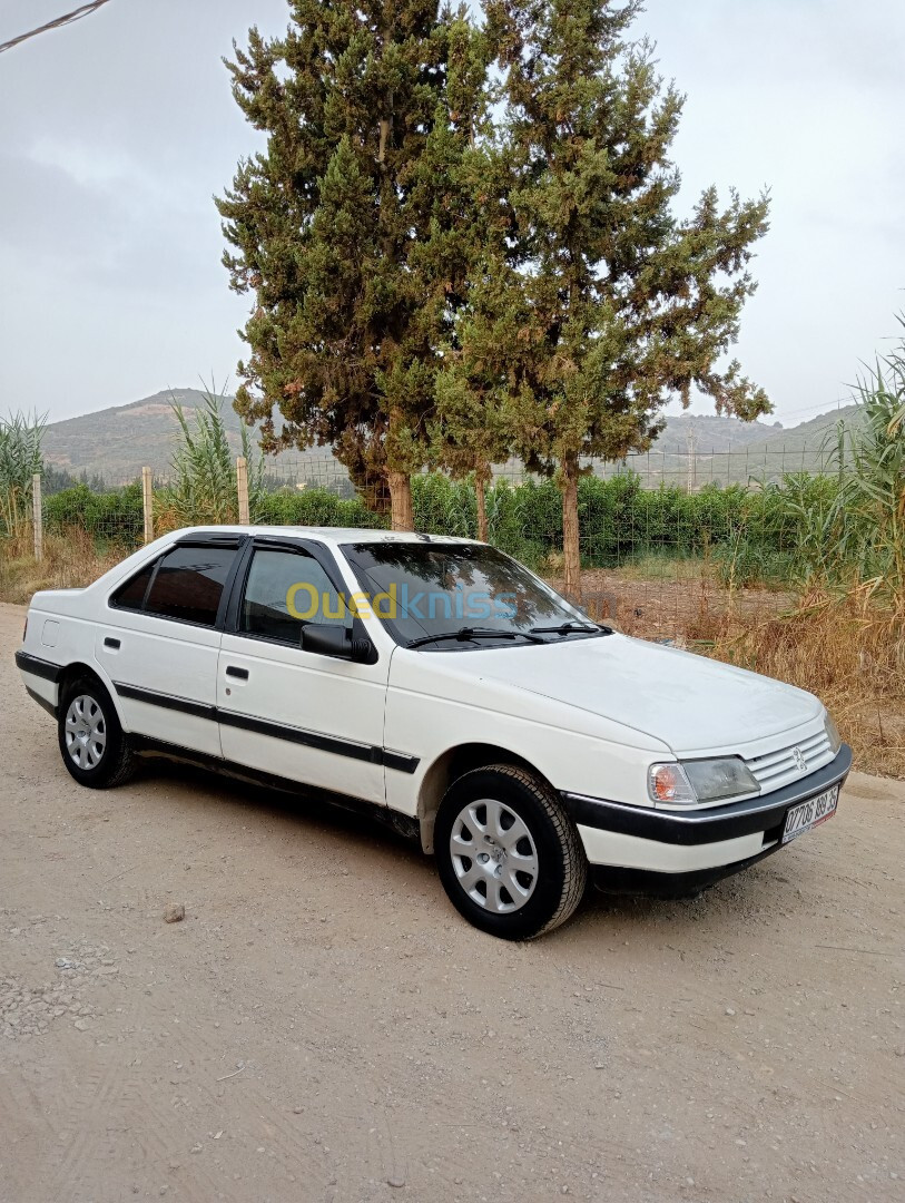 Peugeot 405 1993 405