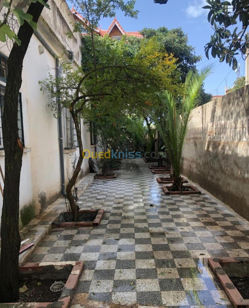 Vente Villa Sétif Ain arnat