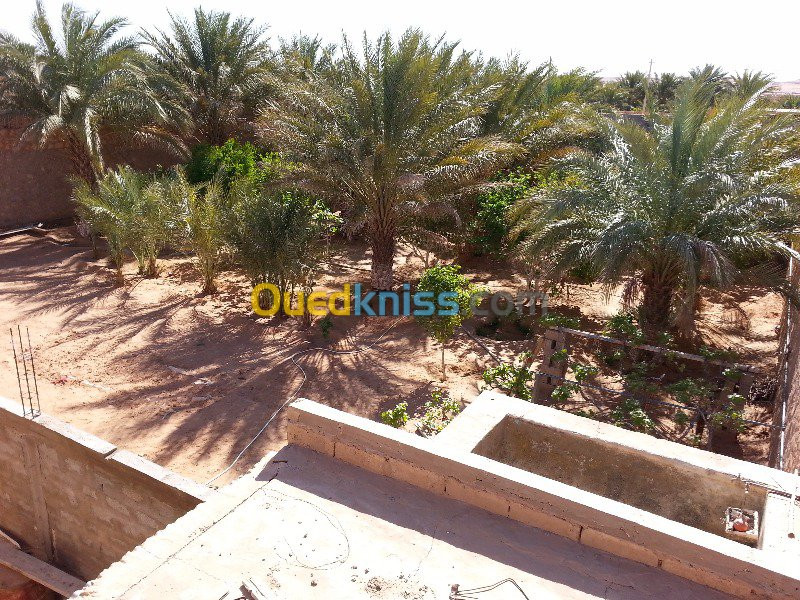 Vente Terrain Ghardaia Metlilli