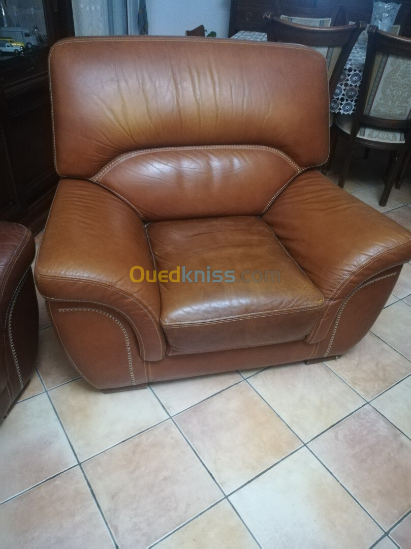 Fauteuils en cuir