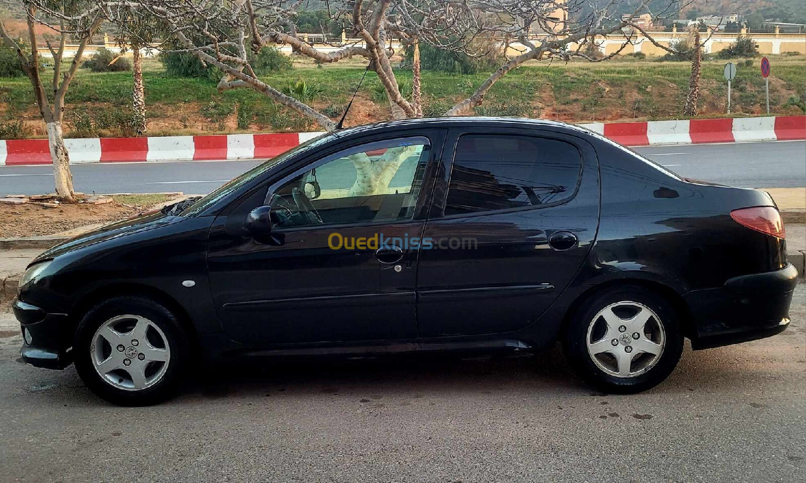 Peugeot 206 Sedan 2007 206 Sedan