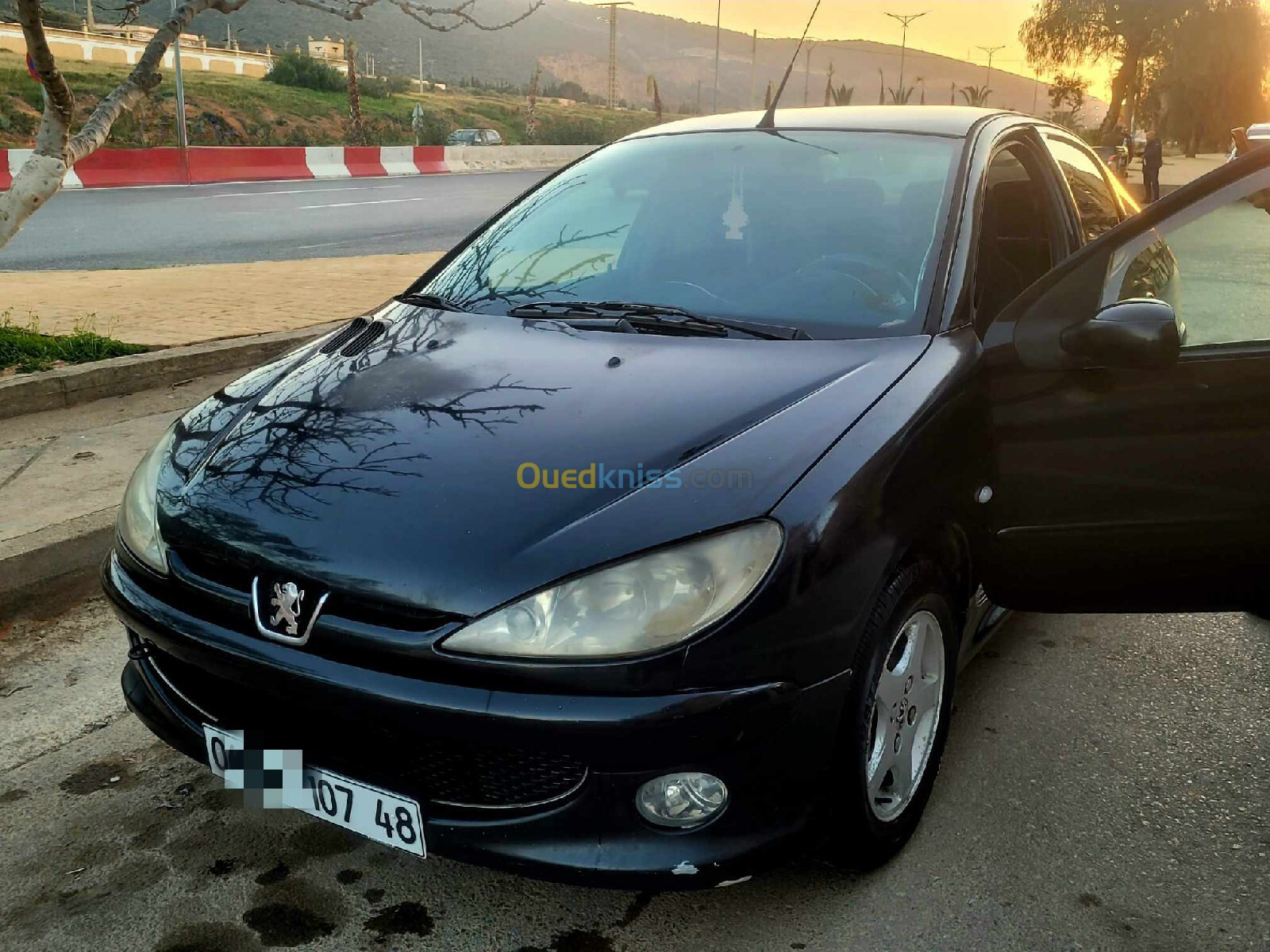 Peugeot 206 Sedan 2007 206 Sedan