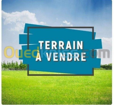 Vente Terrain Alger Birkhadem