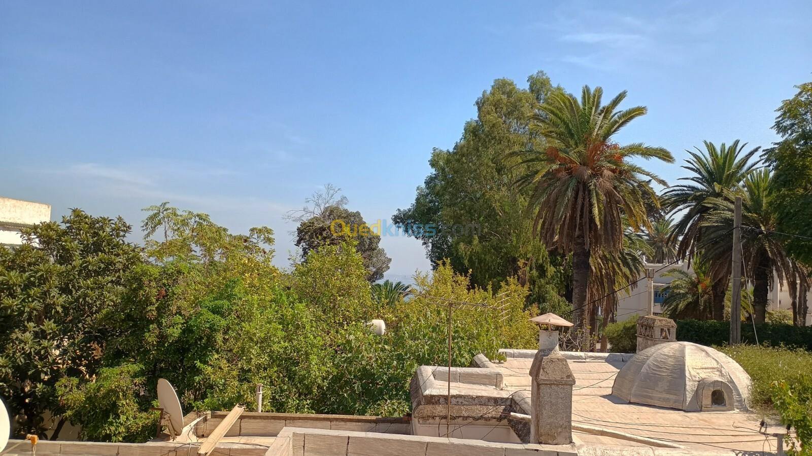 Vente Villa Alger El biar