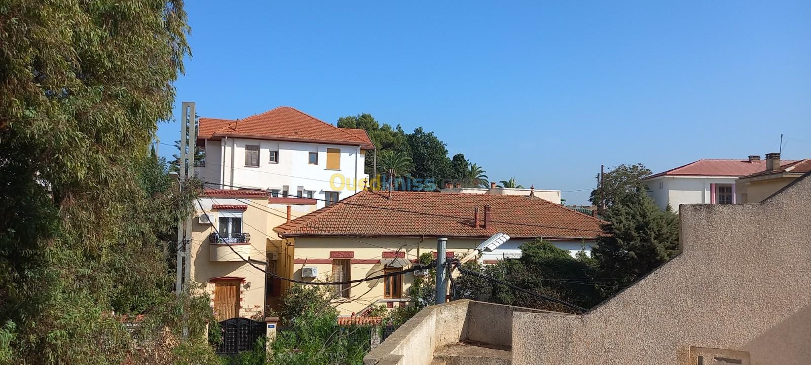 Location Niveau De Villa F4 Alger Birkhadem