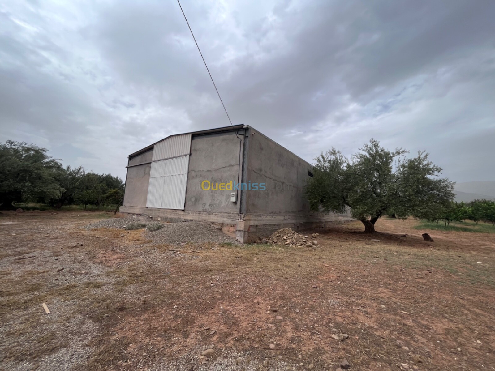 Location Hangar Béjaïa Tazmaltdaira