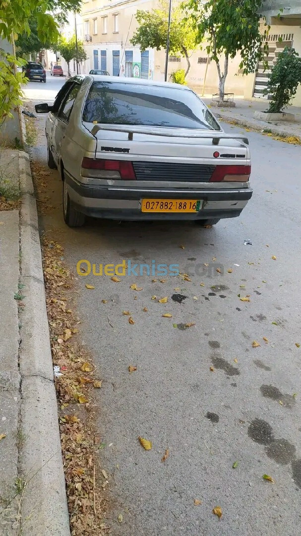 Peugeot 405 1989 405