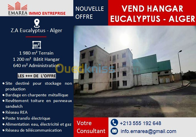 Vente Hangar Alger Les eucalyptus