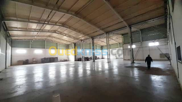 Vente Hangar Alger Les eucalyptus