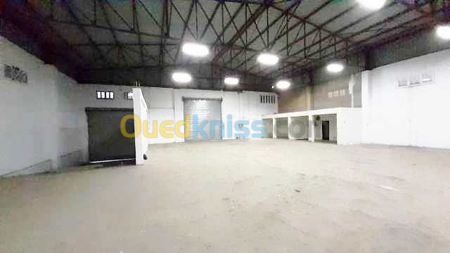 Location Hangar Setif Setif