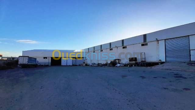 Location Hangar Setif Setif