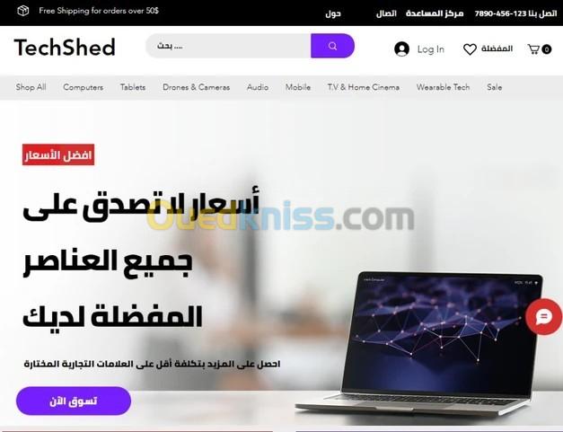 إنشاء مواقع الويب عصري والنجاح عبر الإنترنت