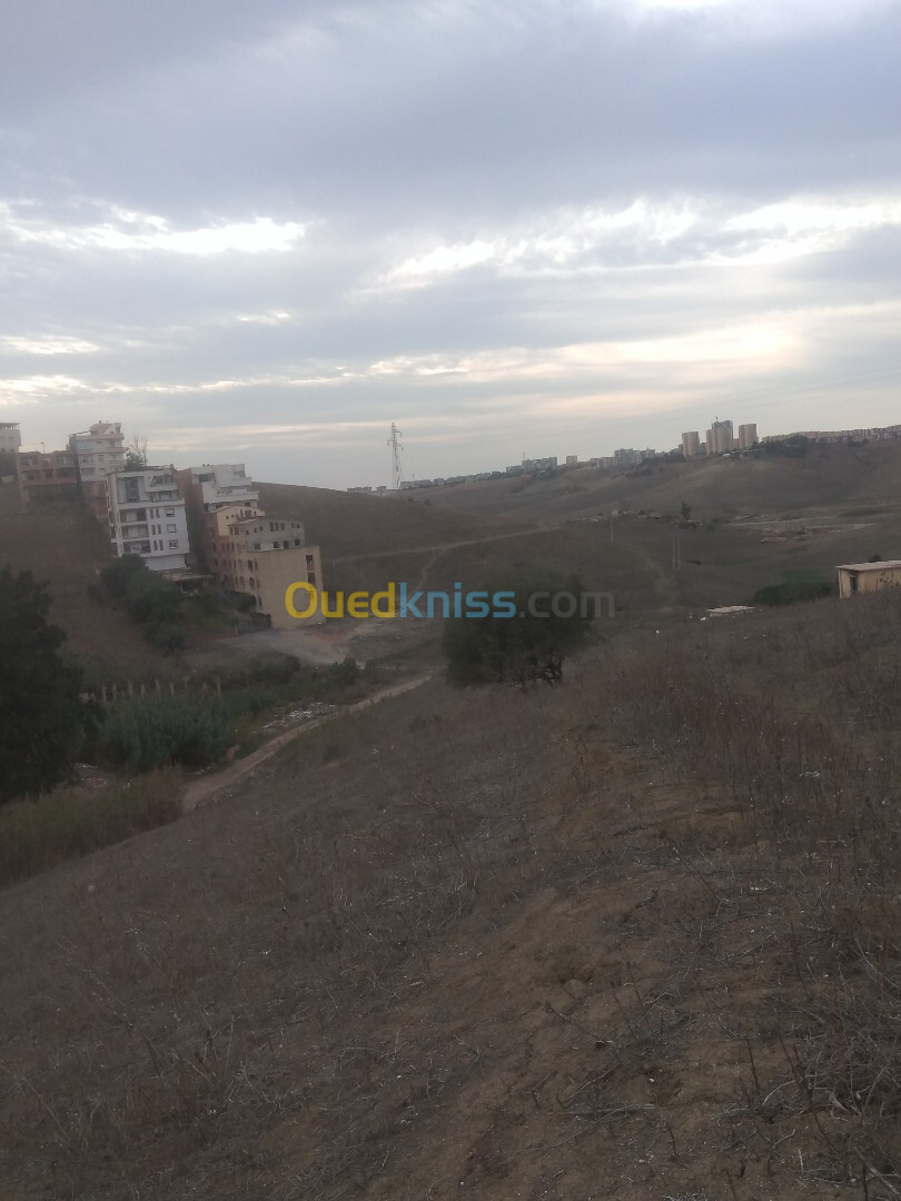 Vente Terrain Alger Douera