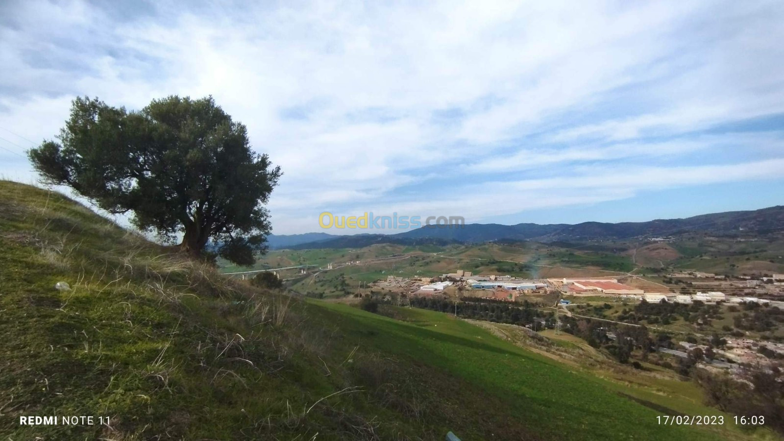 Vente Terrain Agricole Bouira Djebahia