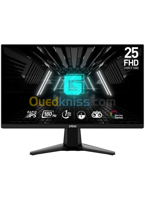 ECRAN GAMING MSI G255F 241MS 180HZ IPS