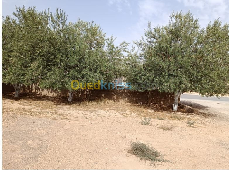 Location bien immobilier Sétif Ain oulmene