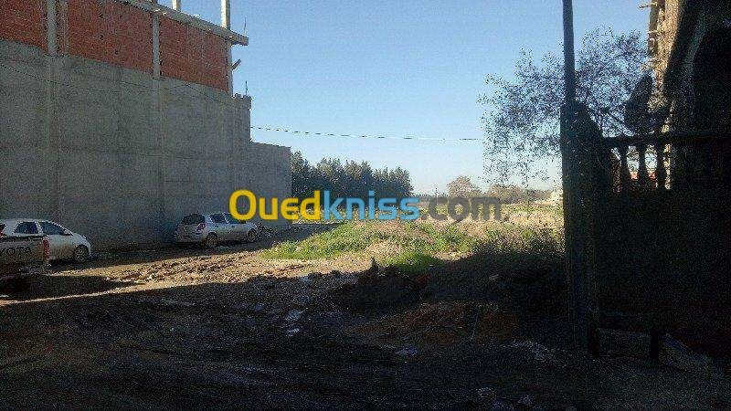 Vente Terrain Alger Ouled chebel