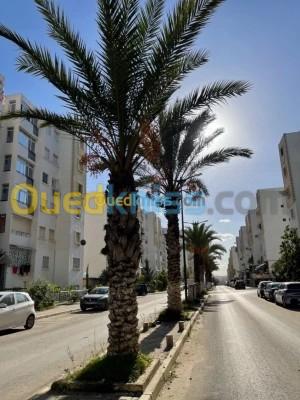 Vente Appartement F3 Alger Baba hassen