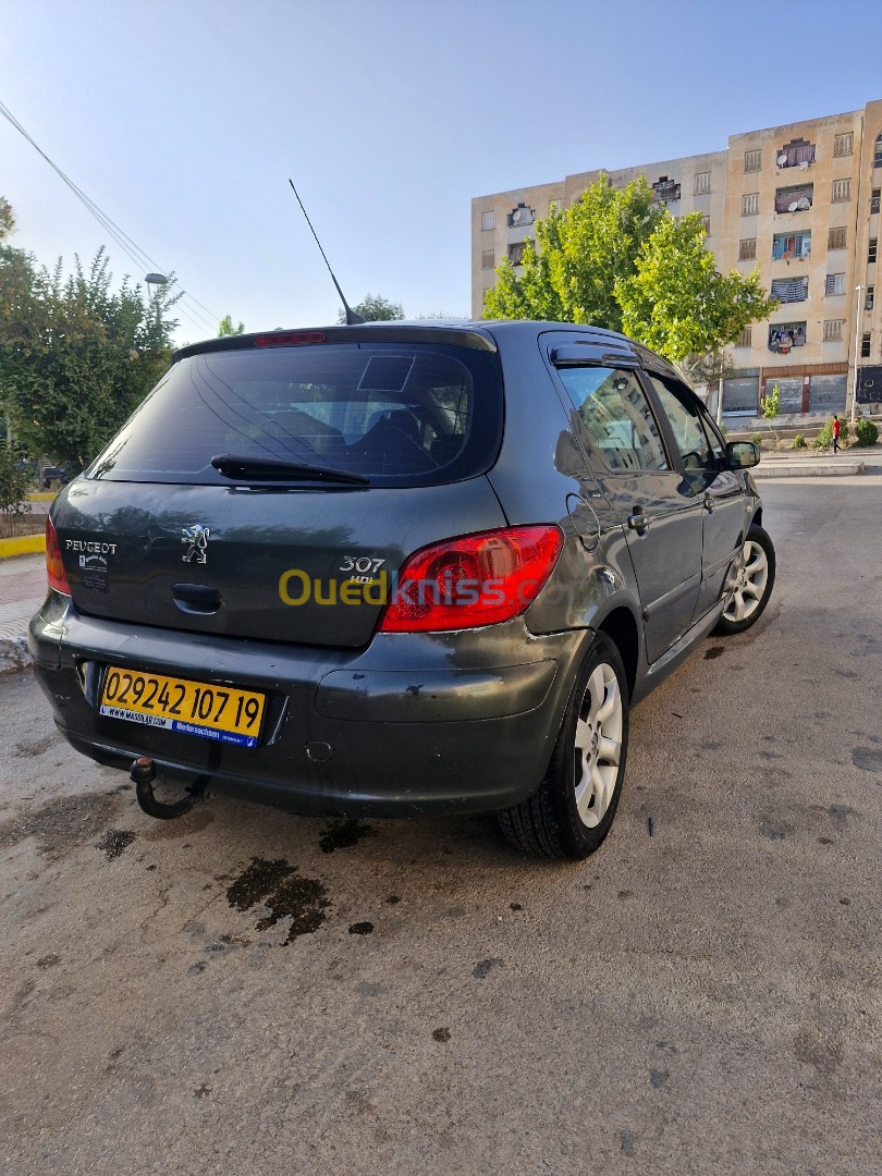 Peugeot 307 2007 Oxygo