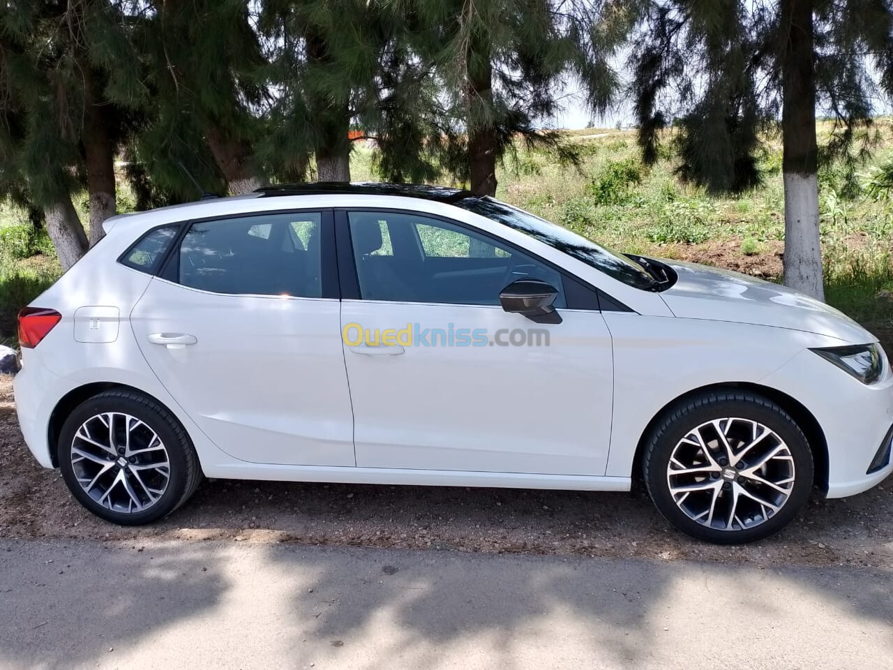 Seat Ibiza 2021 