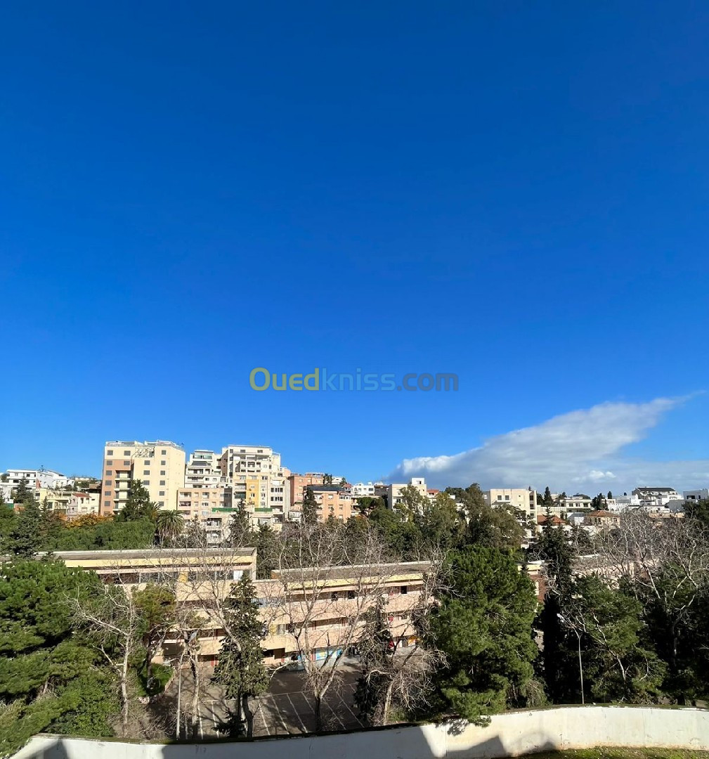 Location Appartement F4 Alger Hydra