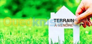 Vente Terrain Tizi Ouzou Ouaguenoun