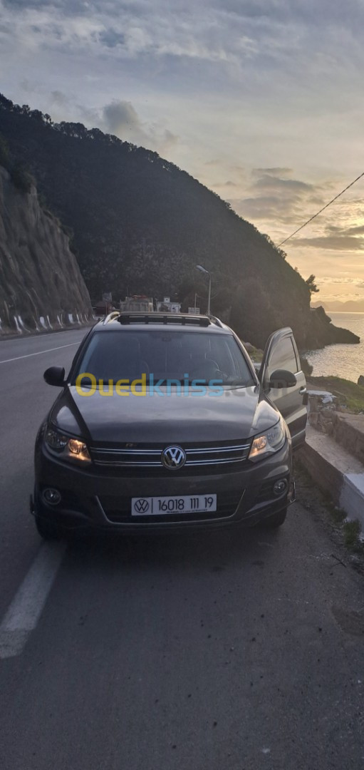 Volkswagen Tiguan 2011 Carat +