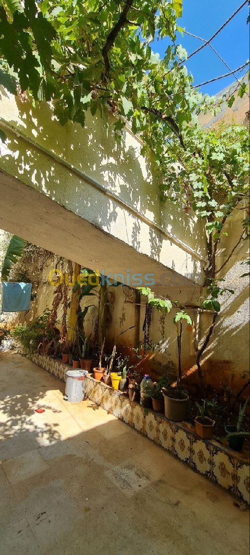 Vente Appartement F5 Alger Cheraga