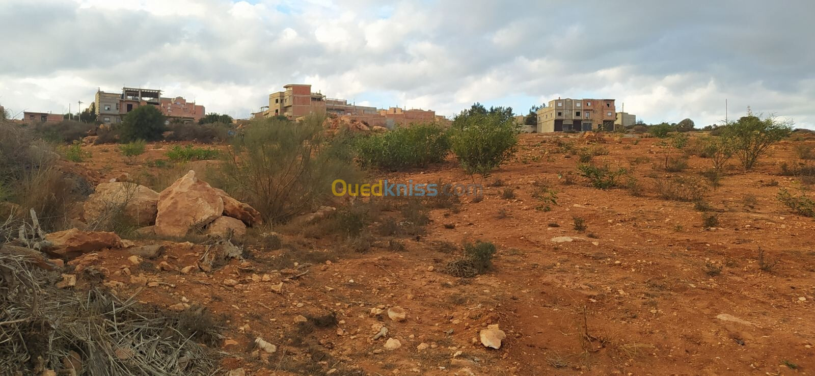 Vente Terrain Mostaganem Sayada