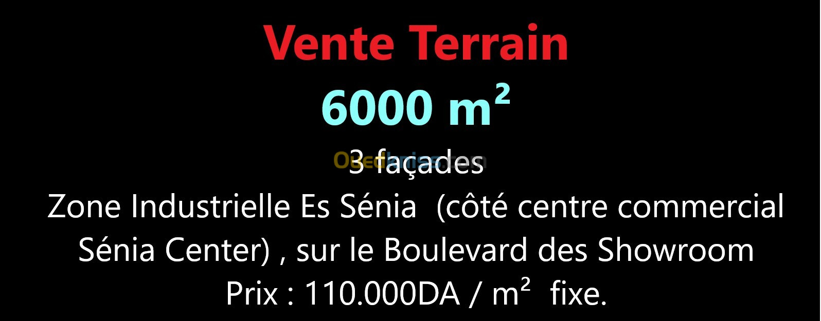 Vente Terrain Oran Es senia