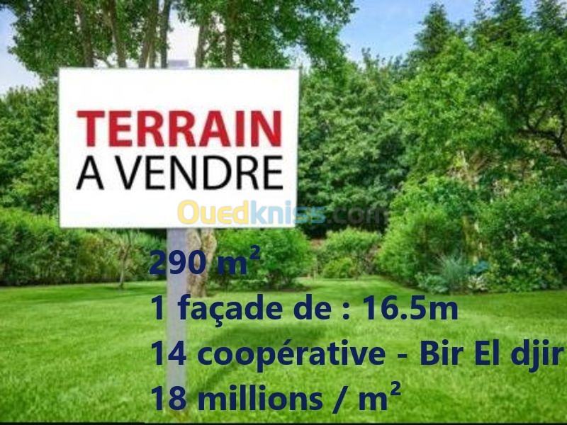 Vente Terrain Oran Bir el djir